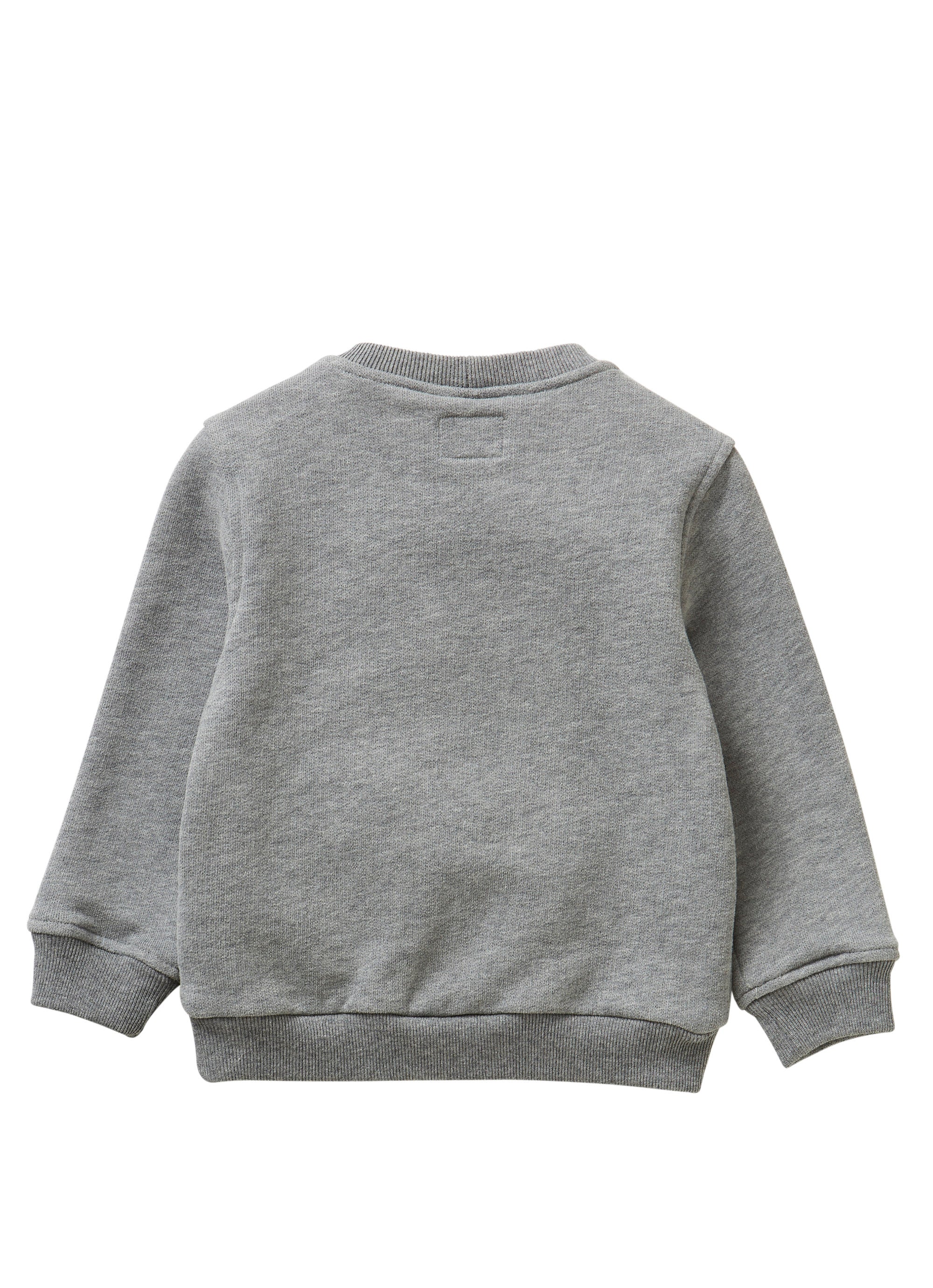 Sweatshirt with “artic” - grey