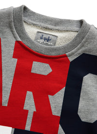 Sweatshirt with “artic” - grey