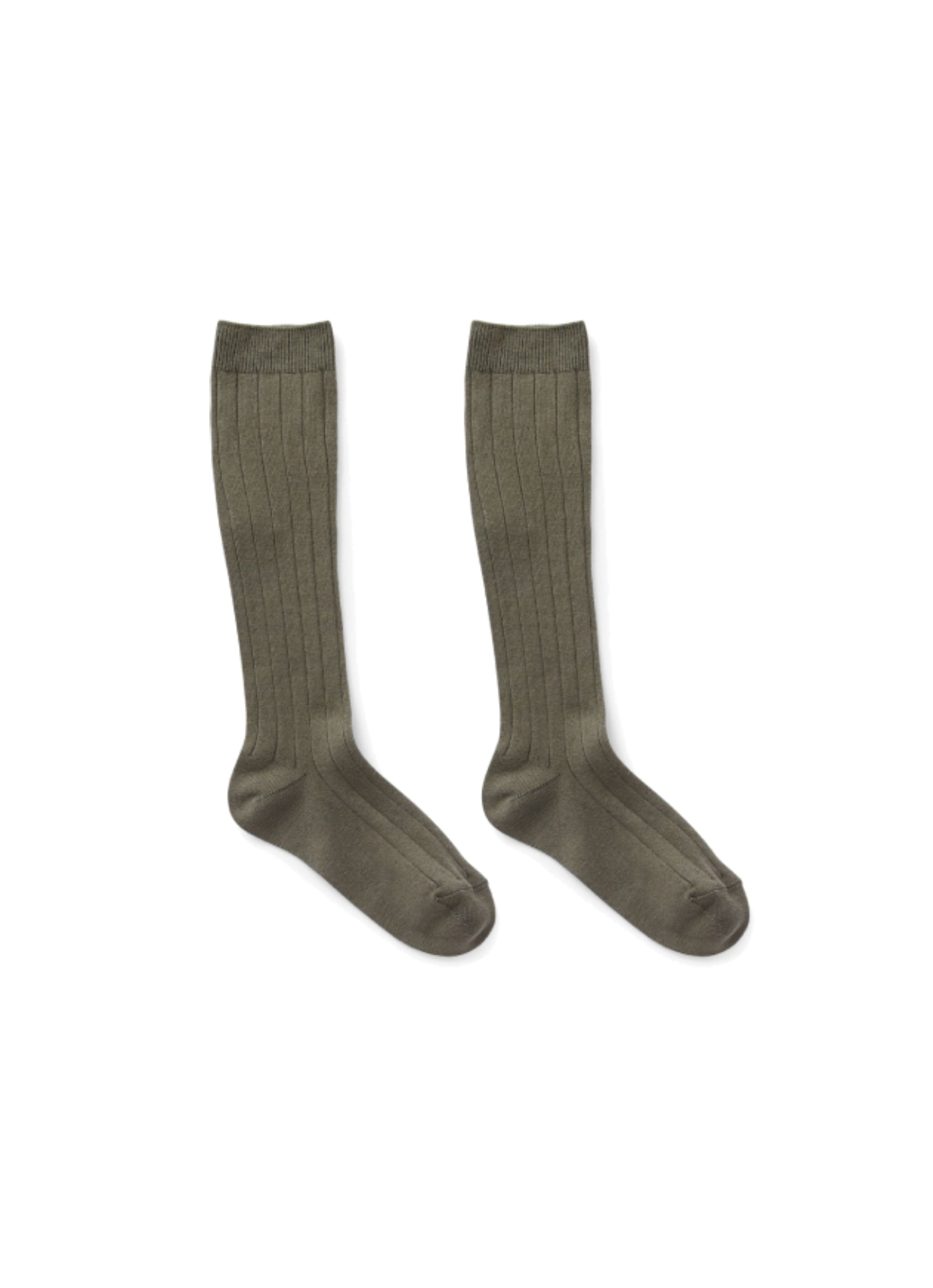 Ribbed socks - Abete Argenteo