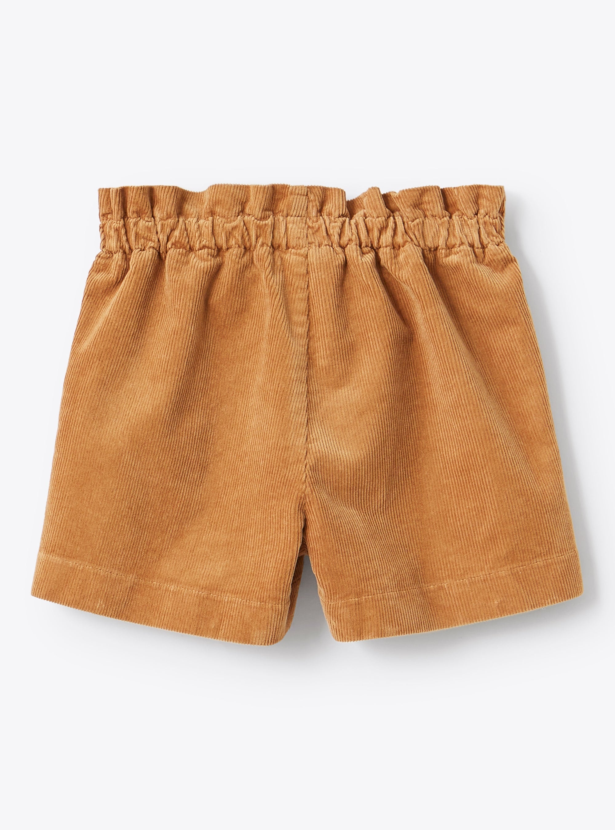 Velvet Bermuda shorts - Castoro