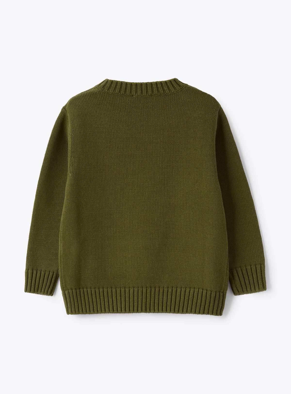Sweater In Organic Olive-Green Cotton With An Embroidered Eagle