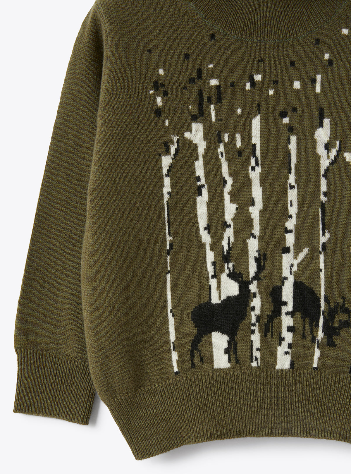 Turtleneck Sweater In Green Merino Wool With Inlay Detail