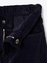 Pantalone In Velluto A Righe Blu