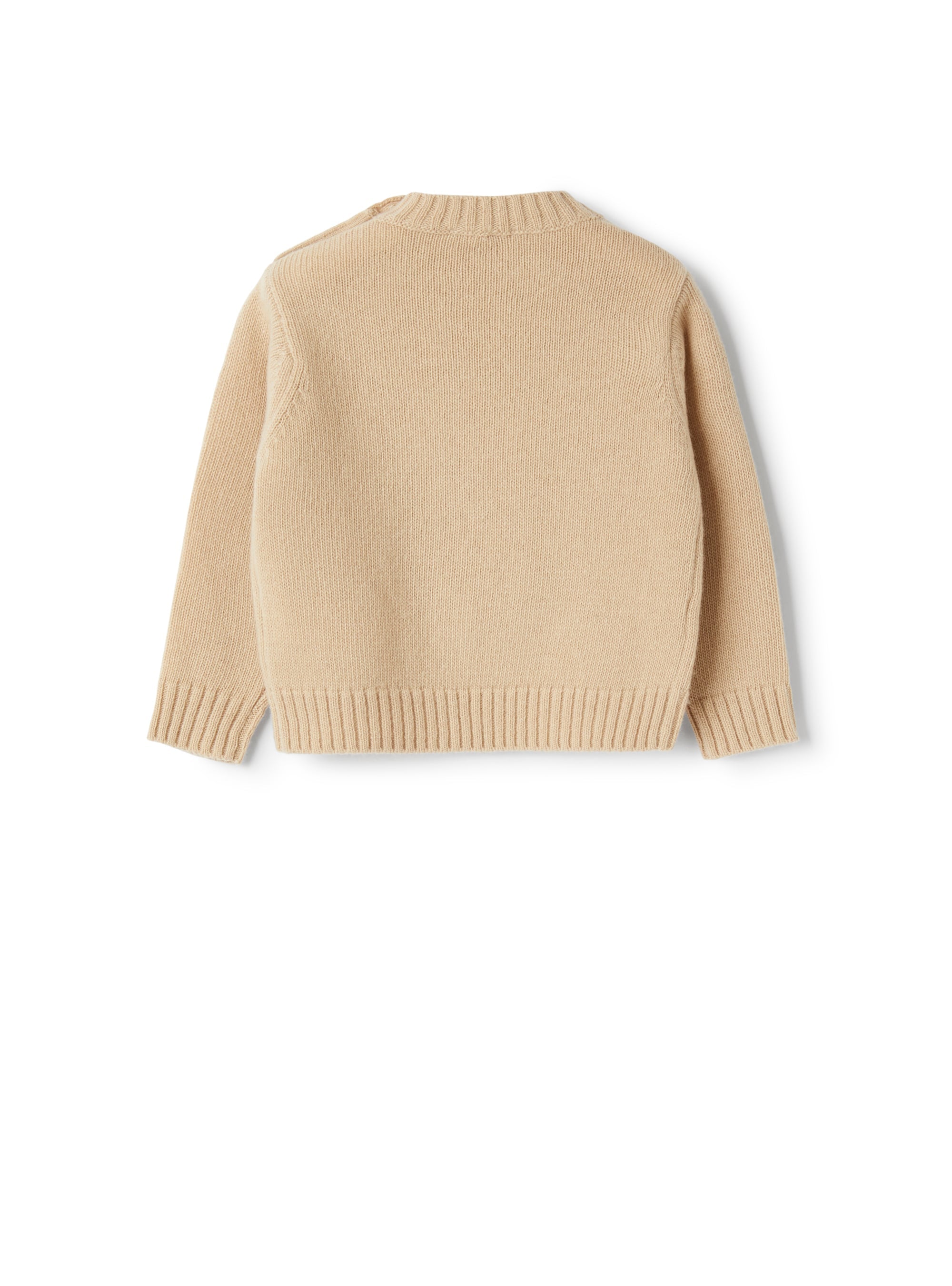 Wool sweater with embroidered lion