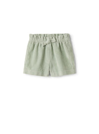 Ribbed velvet shorts