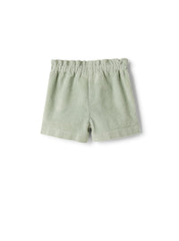 Ribbed velvet shorts