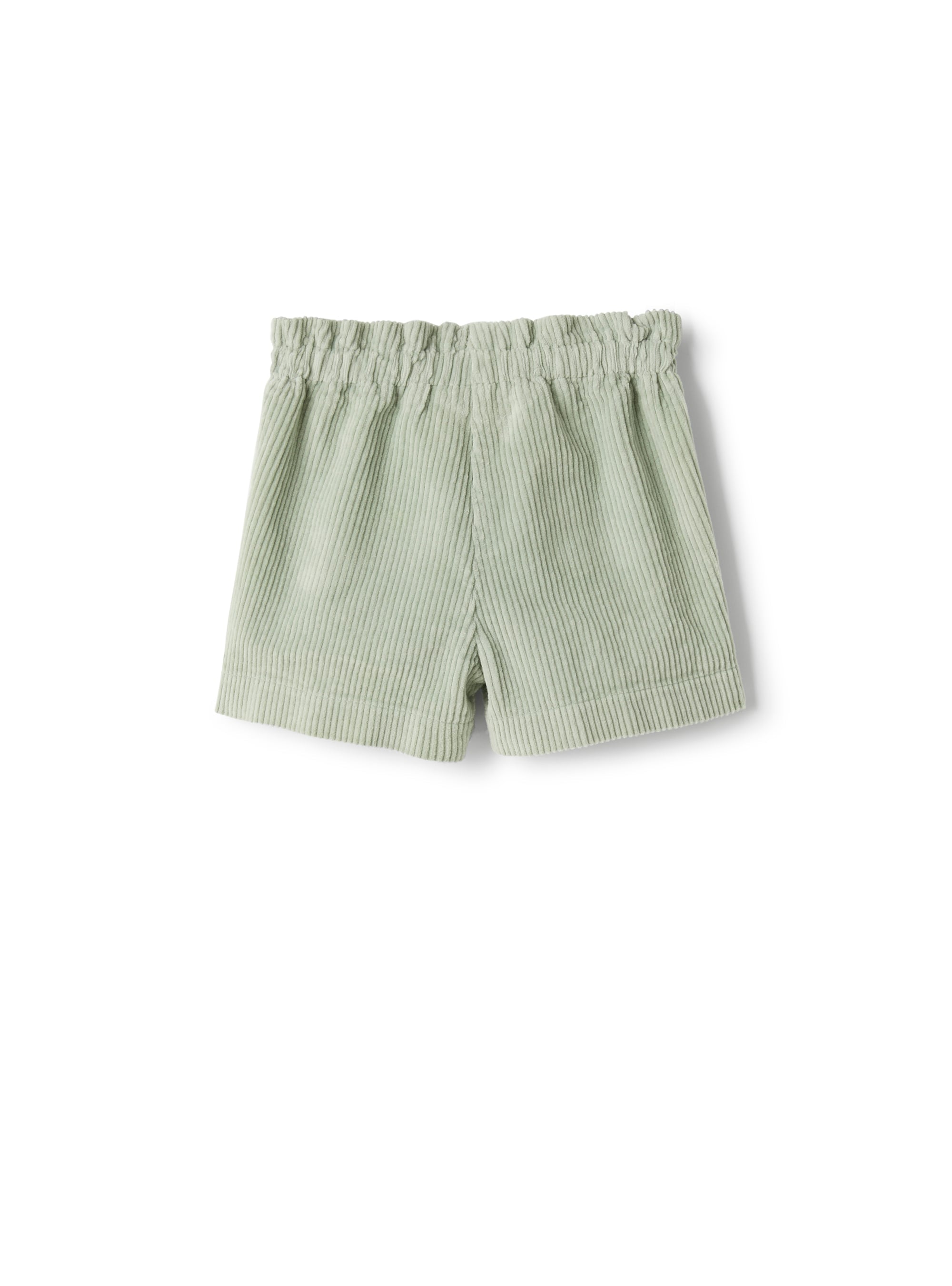 Ribbed velvet shorts