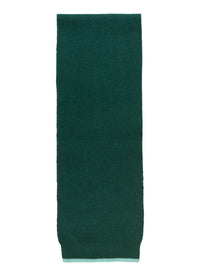 Écharpe en laine mérinos - Verde Aloe & Turchese