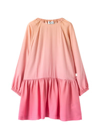 Trapeze Dress With A Gradient Pattern