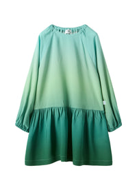 Trapeze Dress With A Gradient Pattern