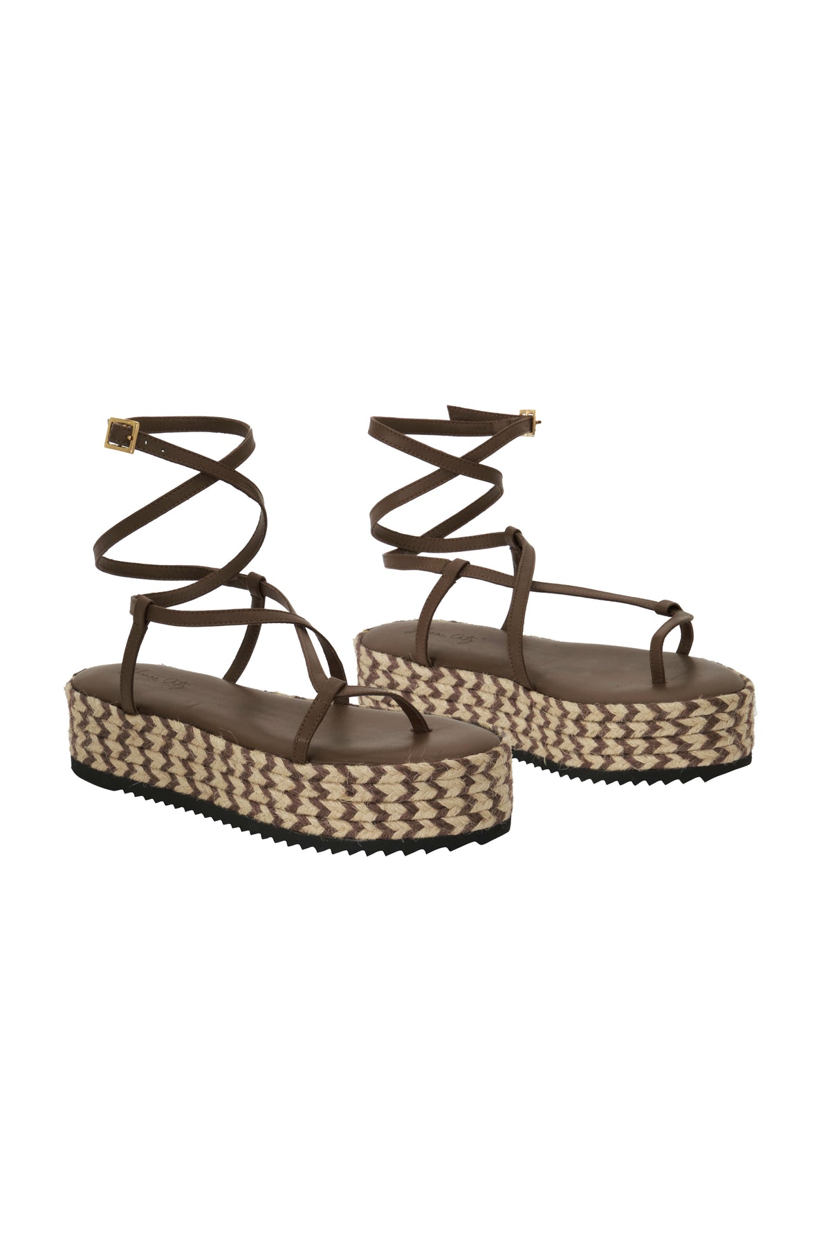 Brown / Barbor Platform