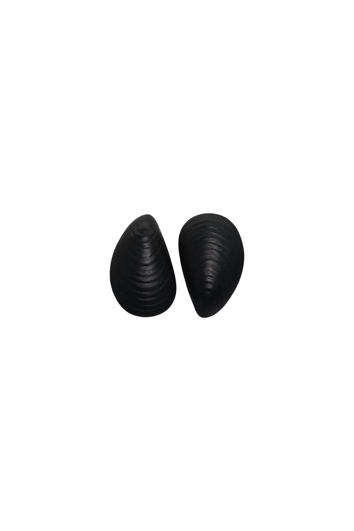 Black / Self Exploration Earrings