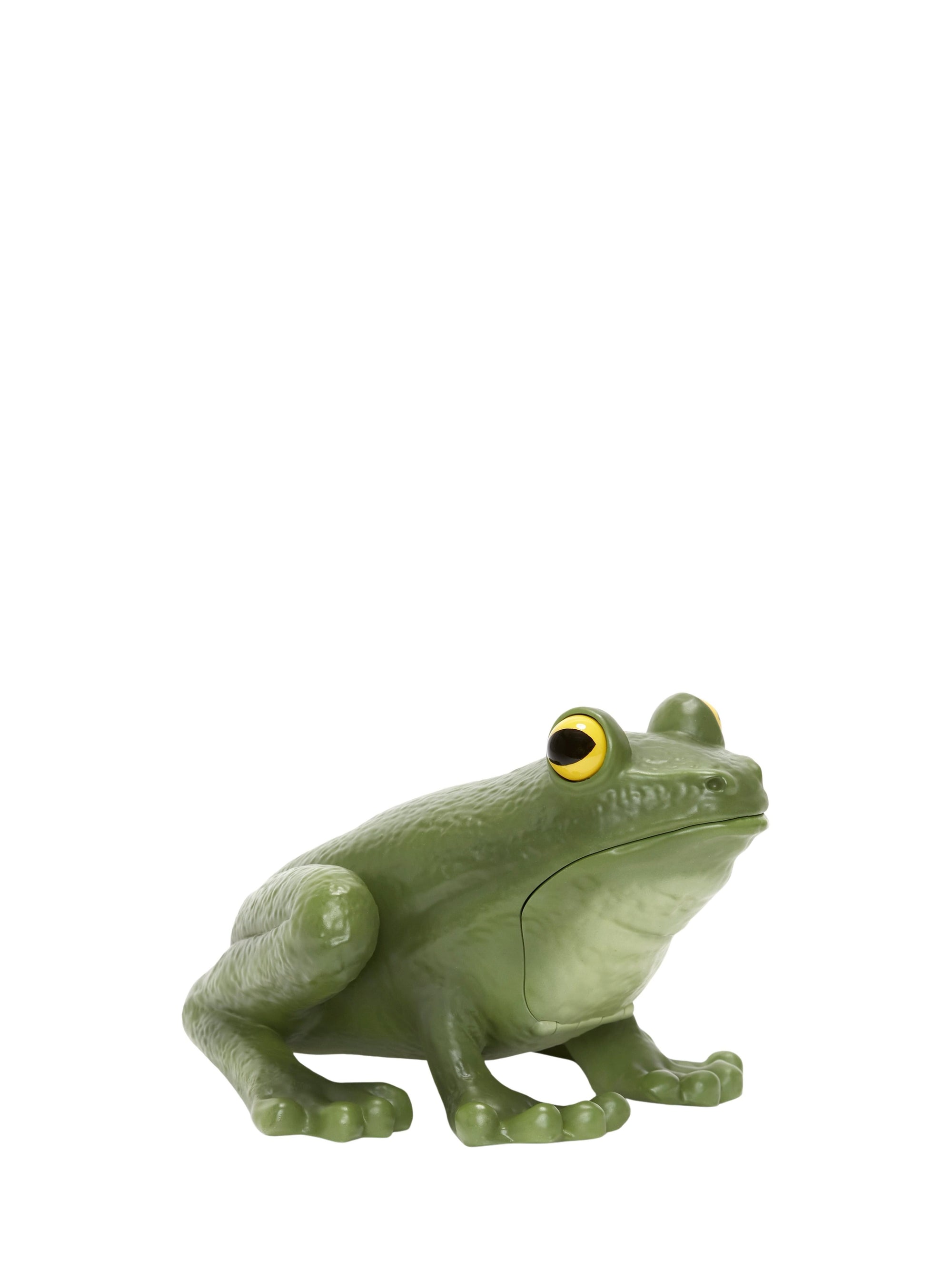 Pochette Frog - Green