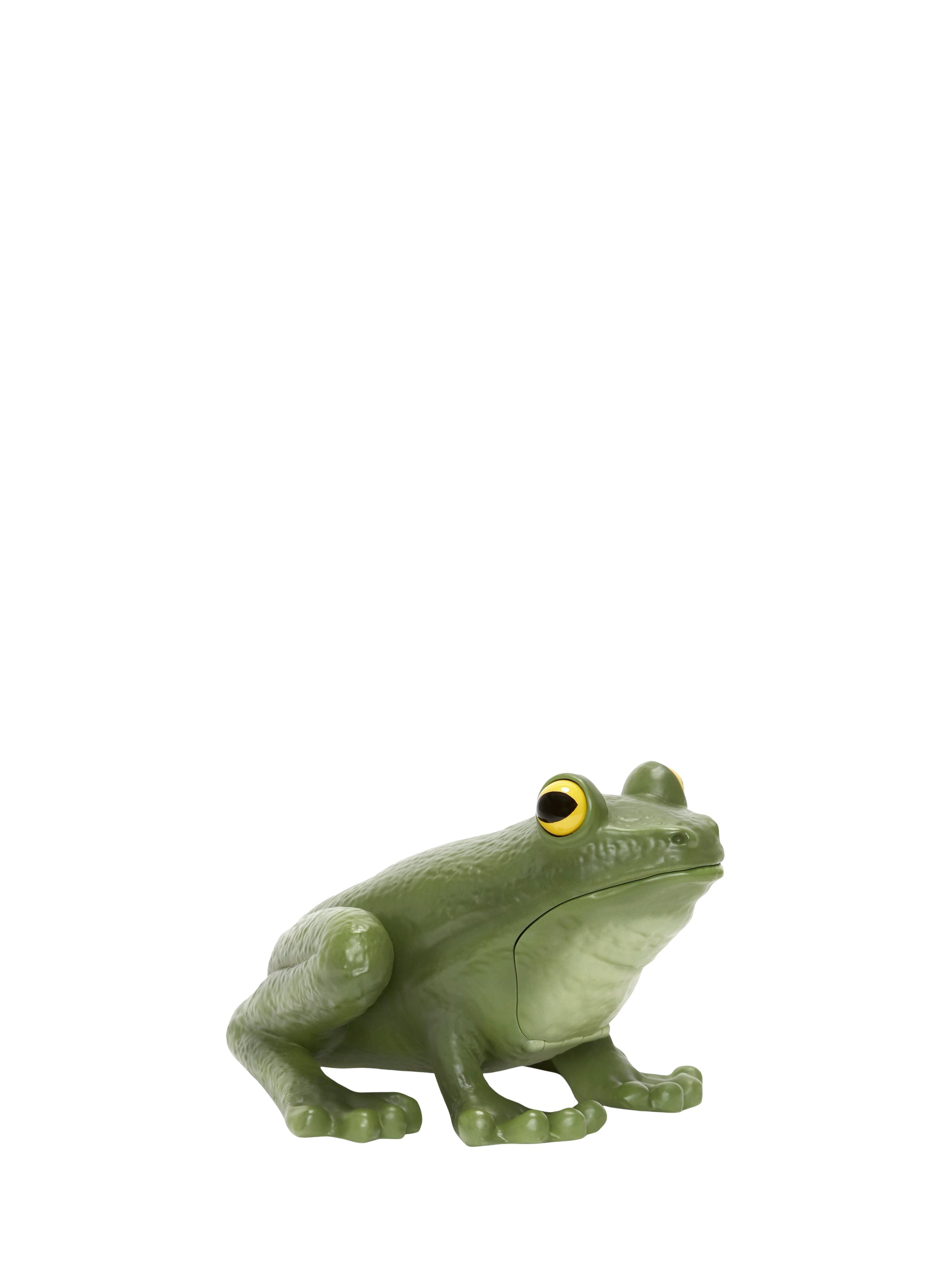 Pochette Frog - Green