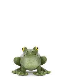 Pochette Frog - Green