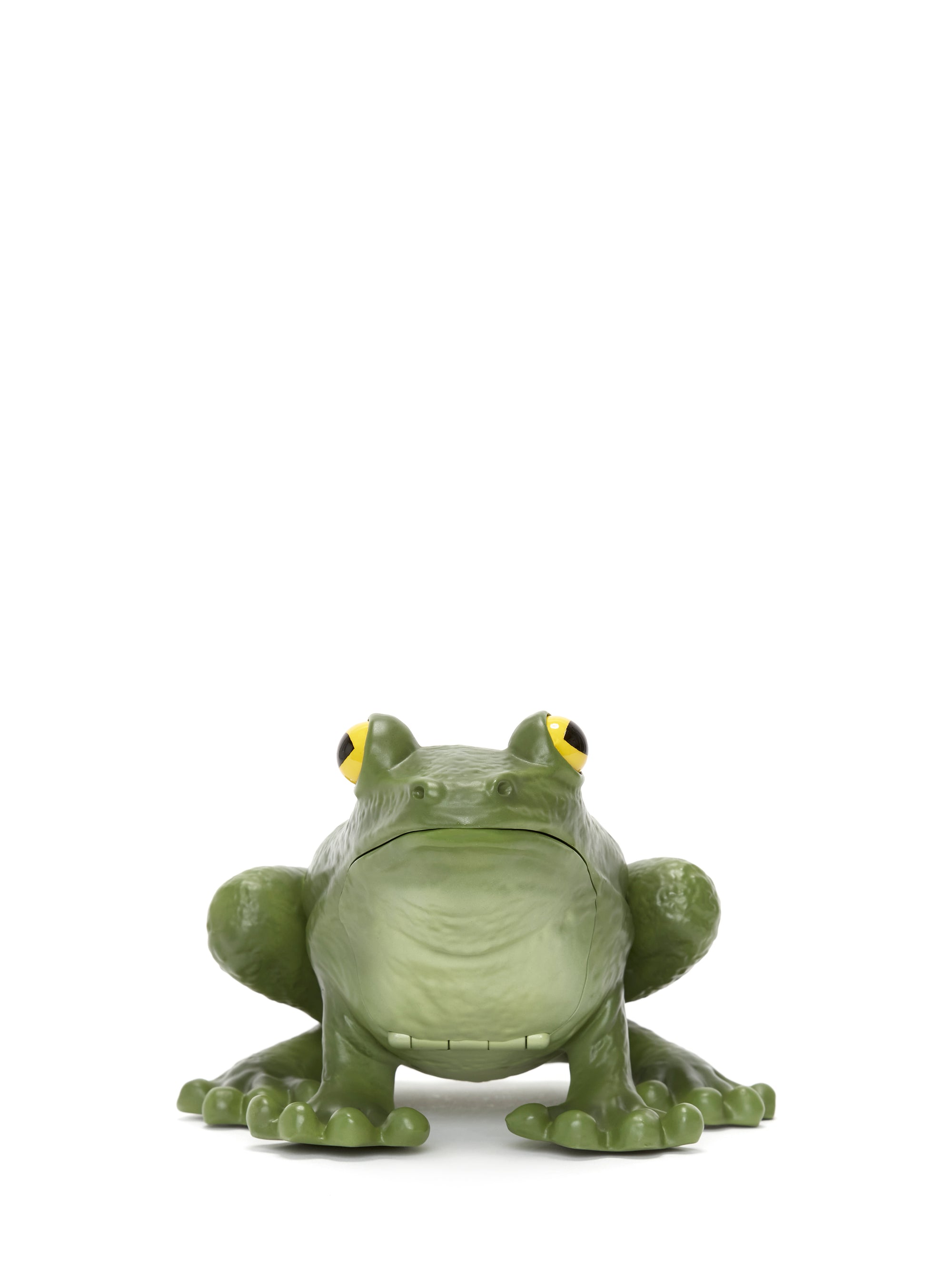 Pochette Frog - Green