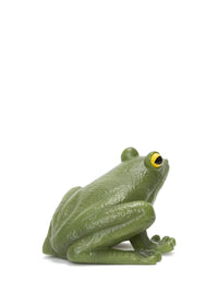 Pochette Frog - Green