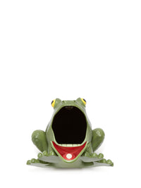 Pochette Frog - Green