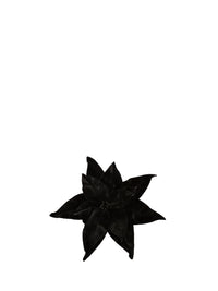Broche Poinsettia - Black