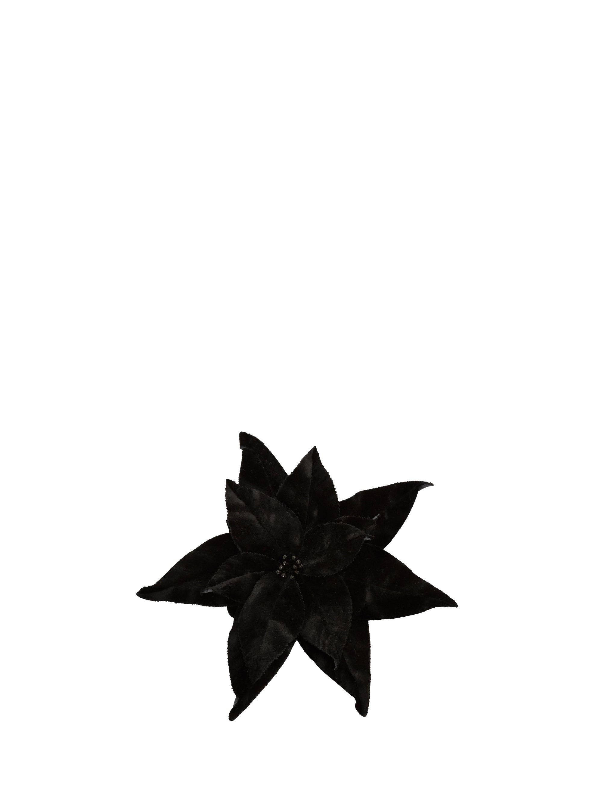 Broche Poinsettia - Black