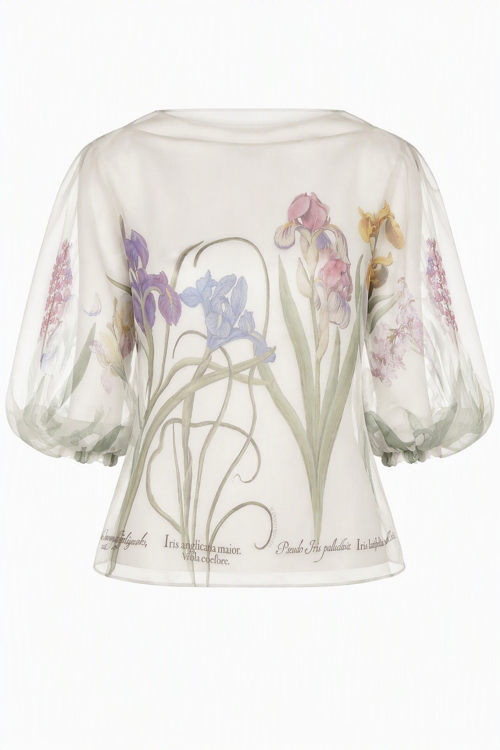 Top en Organza Transparent Imprimé - Ivory