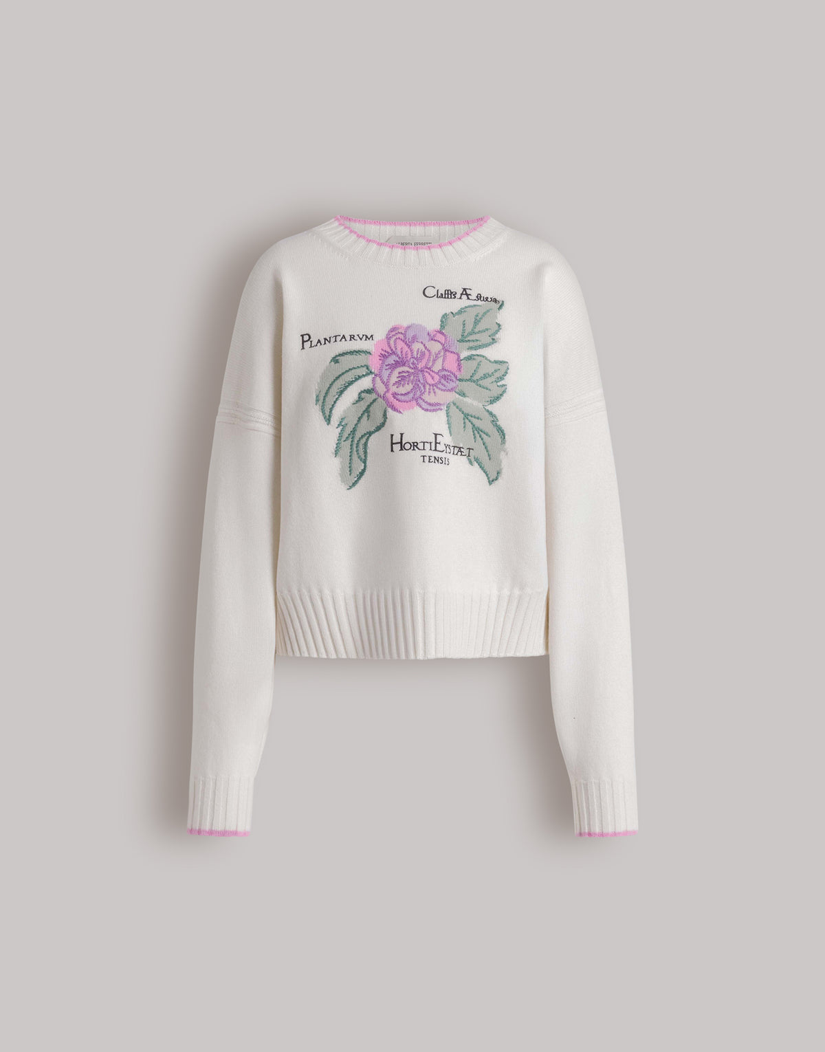 Pull en cachemire brodé Herbarium - White