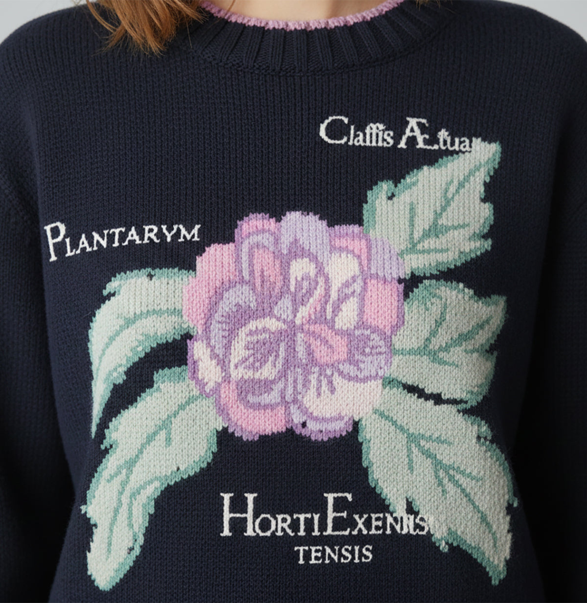 Pull en cachemire brodé Herbarium - Blue