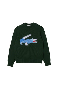 Pull cardée motif en laine - Sinople & Multicolor