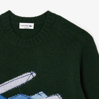 Pull cardée motif en laine - Sinople & Multicolor
