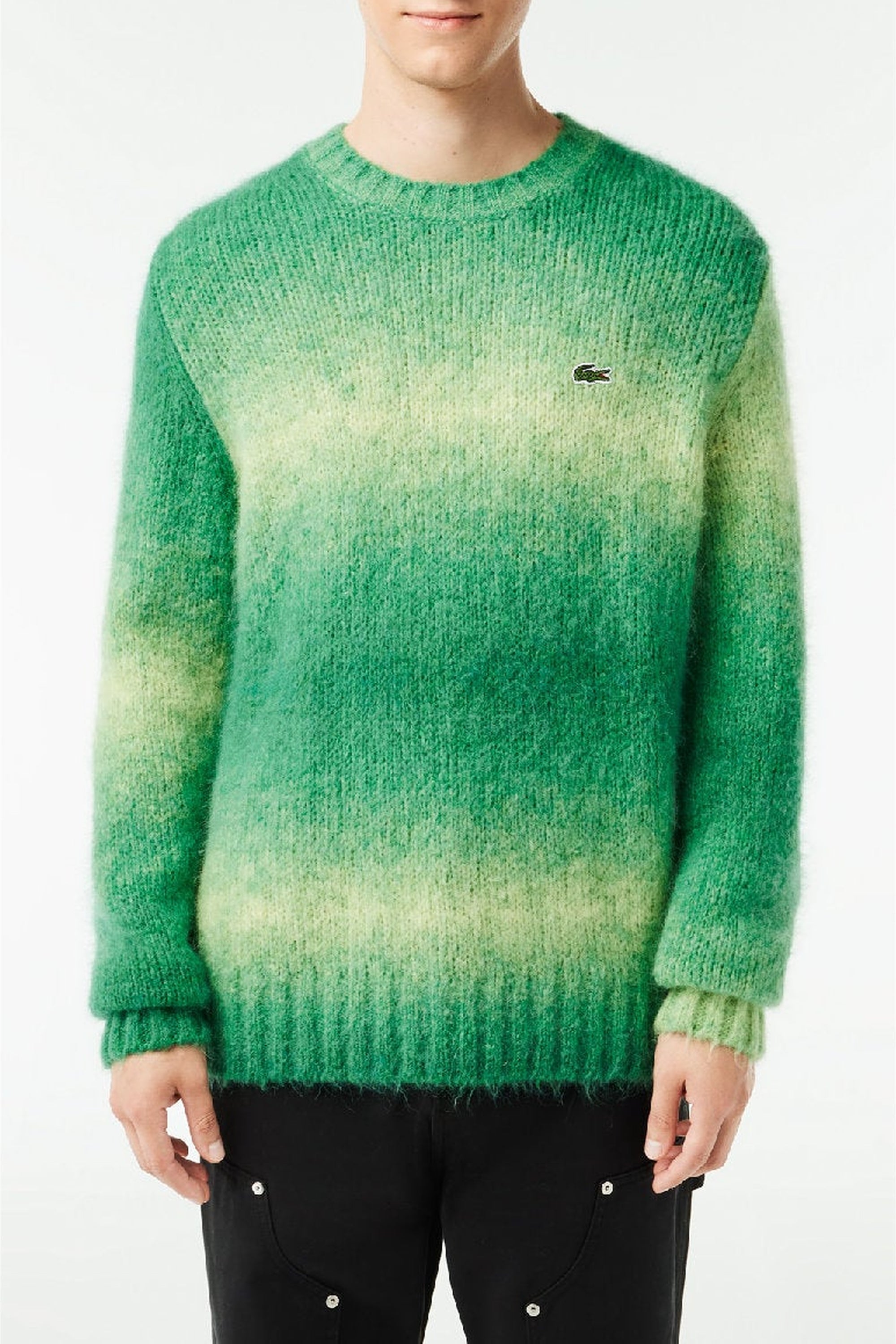 Pull dégradé en laine - Calathea & Laponie