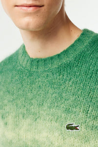 Pull dégradé en laine - Calathea & Laponie