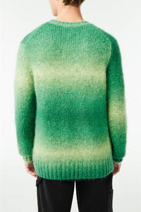 Pull dégradé en laine - Calathea & Laponie