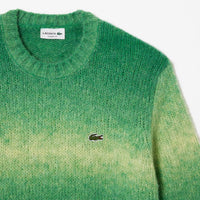 Pull dégradé en laine - Calathea & Laponie