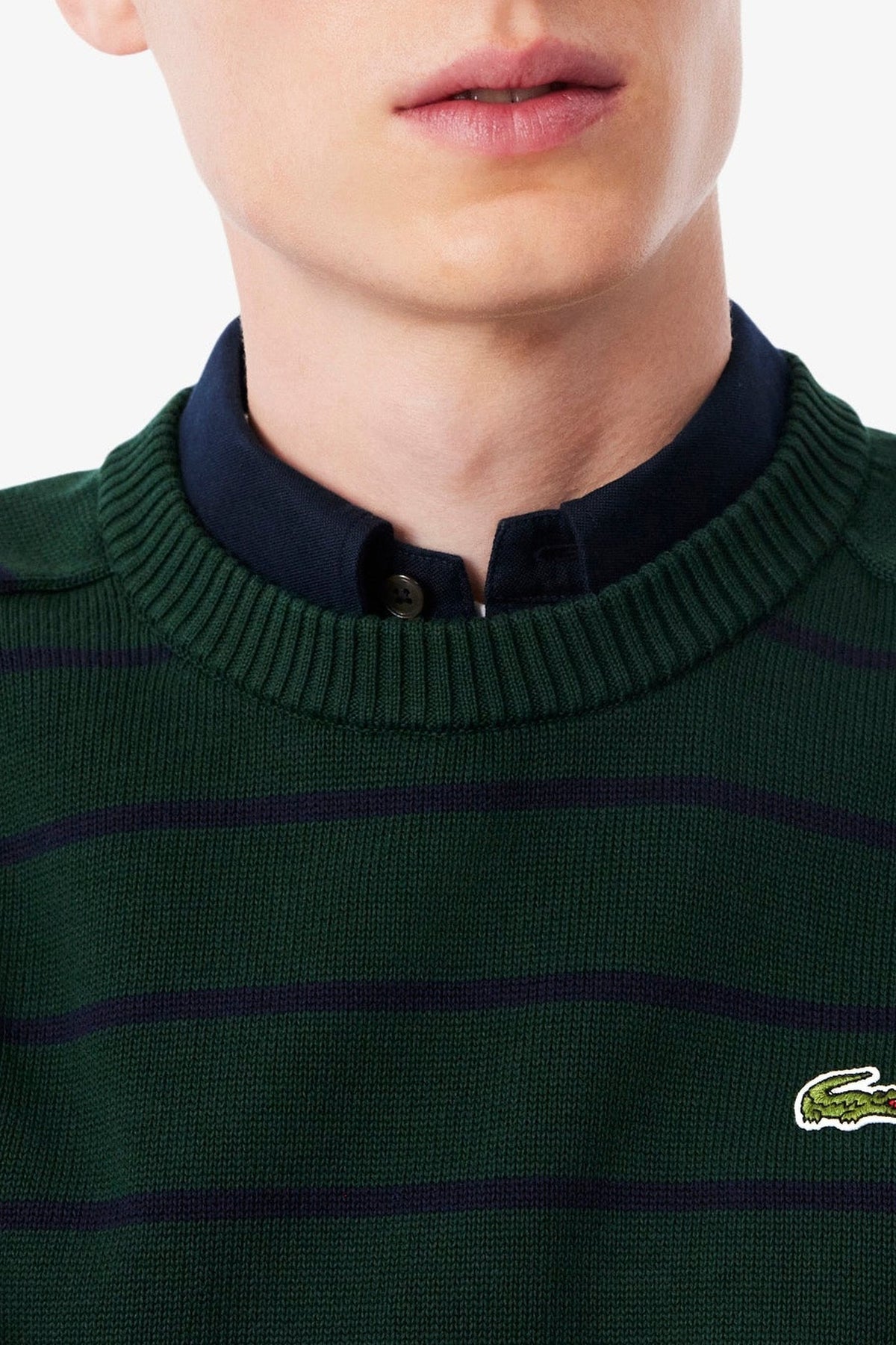 Pull rayé à col rond - Sinople & Marine