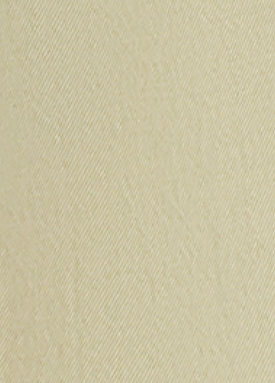 ZNOSTOCK_ANIS PANTS ENCA - Anis
