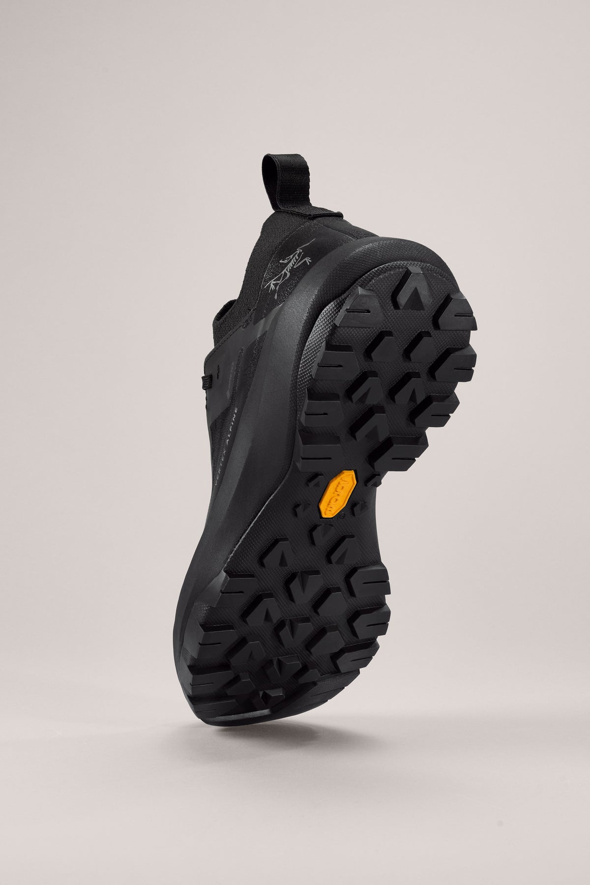 Sneakers Vertex Alpine GTX - Black