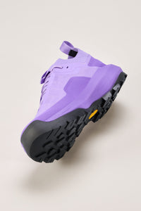 Vertex Alpine GTX trainers - Aster