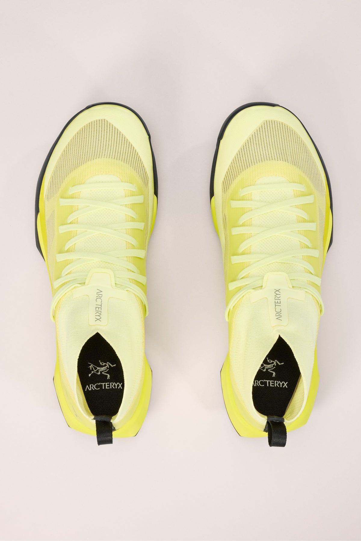 Vertex Speed trainers - Ray & Euphoria