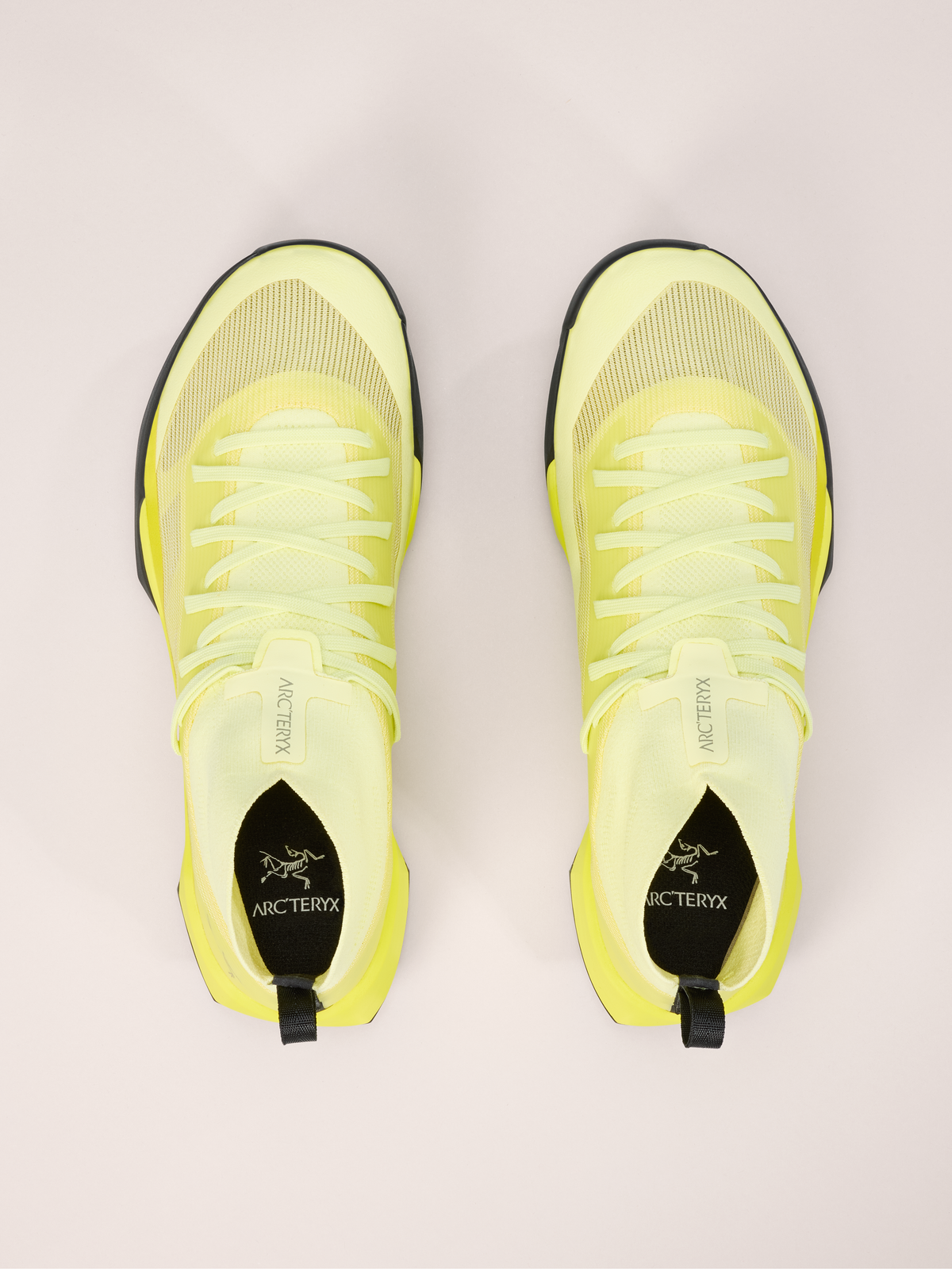 RECO 75 / Sneakers Vertex Speed - Ray & Euphoria