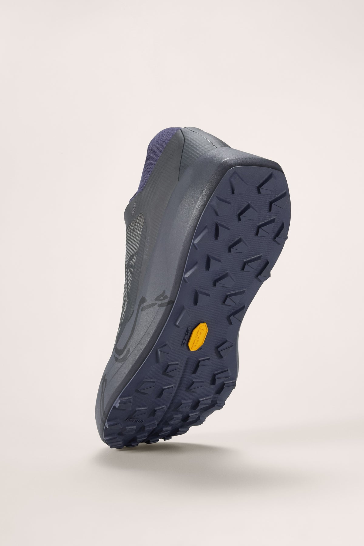 Sneakers de trail Sylan 2 - Graphite