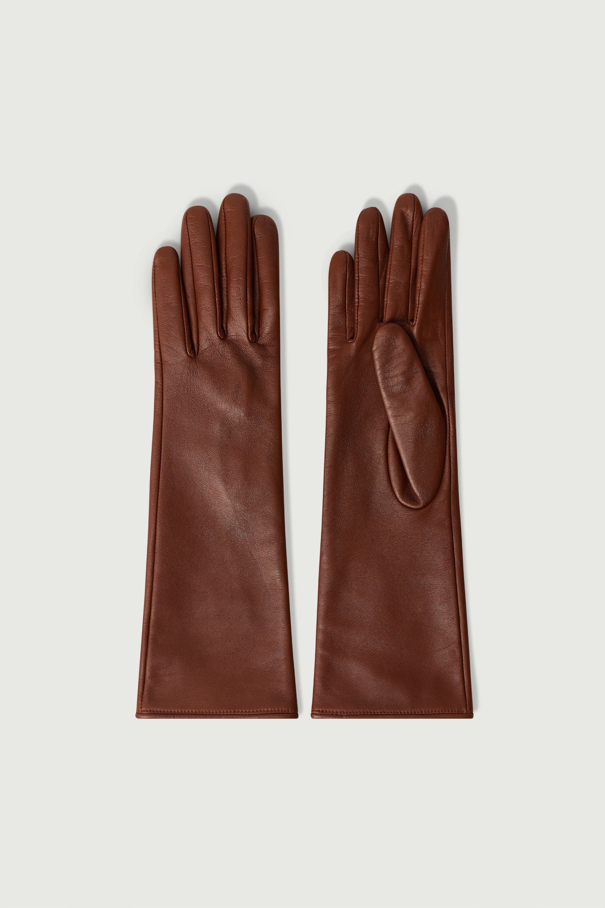 22 / NEW   GANT BELLEVILLE