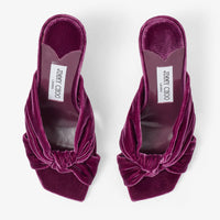 ZNO STOCK 0 / Reco 200 BOYSENBERRY Sandal AVENUE 85