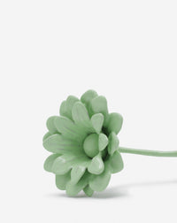 Broche marguerite emaillee - Acqua