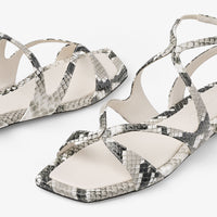 ZNO STOCK 0 / Reco 150 ROCCIA Flat AYLA FLAT