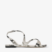 ZNO STOCK 0 / Reco 150 ROCCIA Flat AYLA FLAT