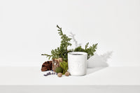 Bougie Apothecary en porcelaine - Bois Sauvage