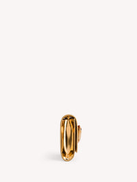 Jaipur bag in smooth leather - Gold