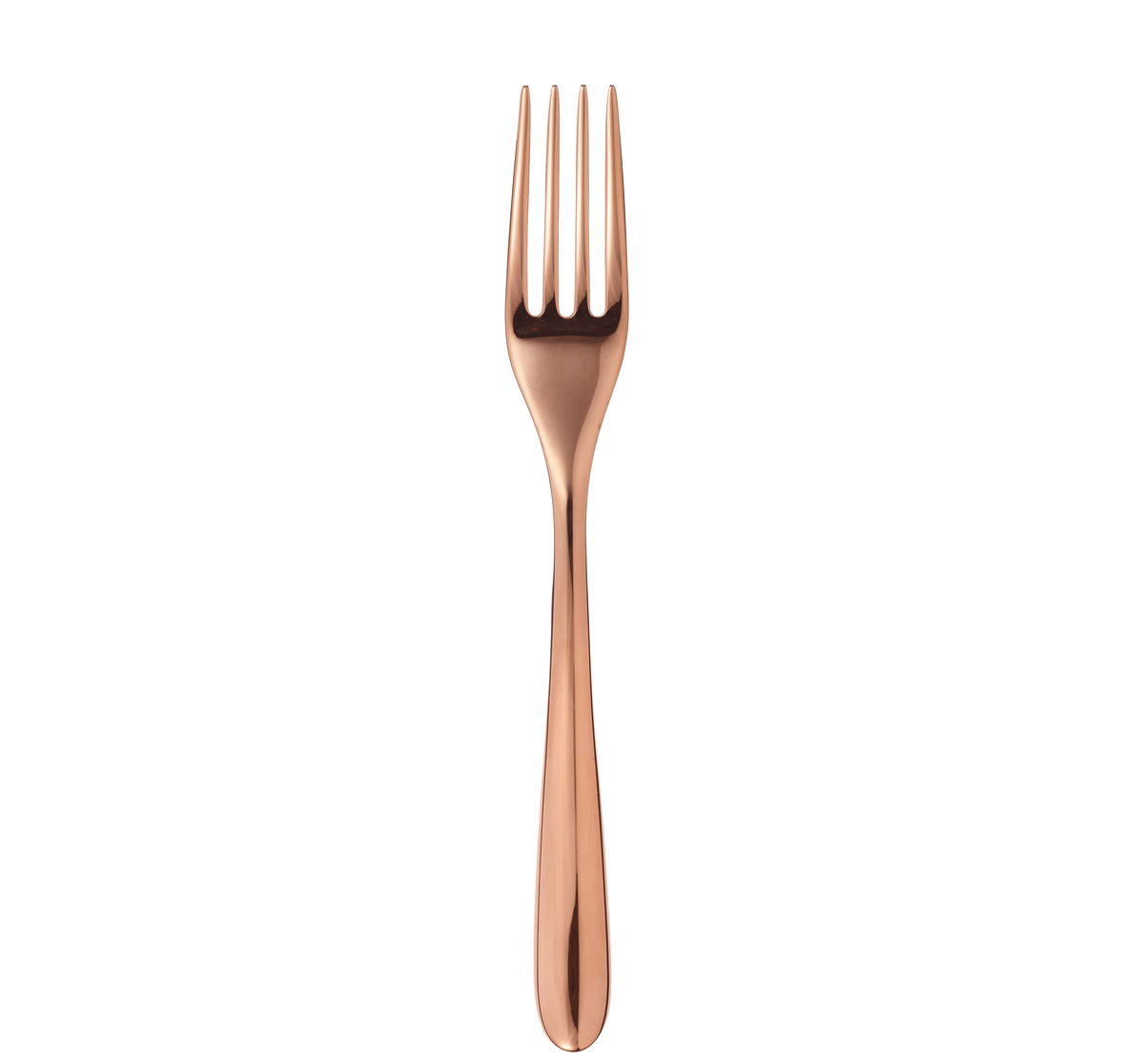 120€_1ERCHOIX_Dinner forks - Acier