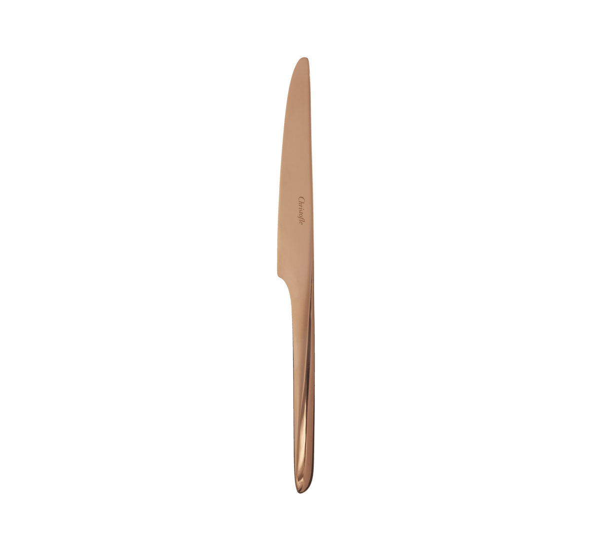 1ERCHOIX_Dinner knives - Acier