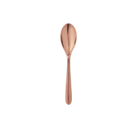 102€_1ERCHOIX_Dessert spoons - Acier